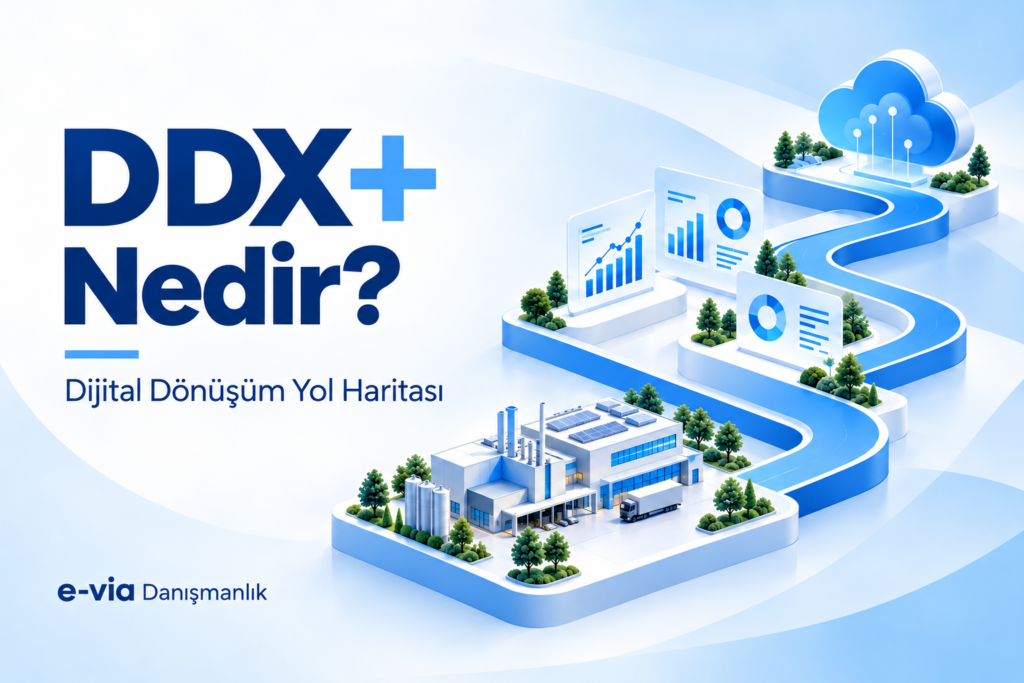 DDX+ dijital dönüşüm yol haritası – e-via Danışmanlık